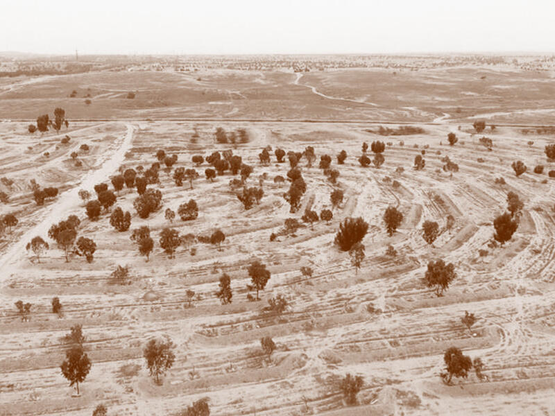 الغسيل الأخضر في إسرائيل