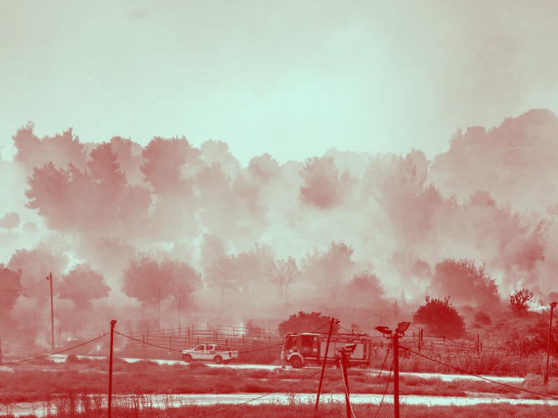 destroyed agriculture