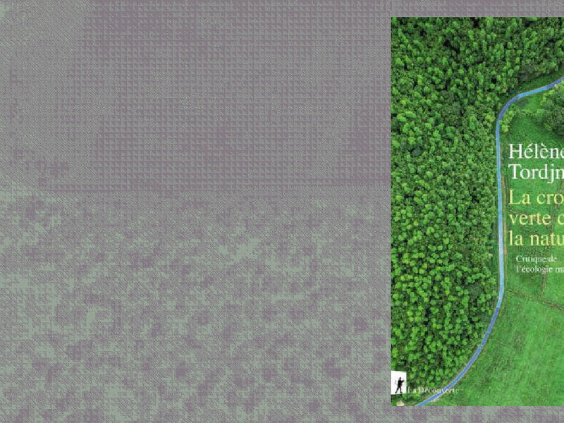 هل يمكن للرأسمالية أن تكون خضراء