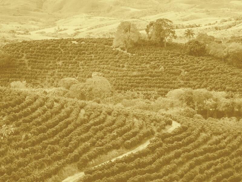 أسعار البن تحلّق عالمياً: كيف ينعكس ذلك على المستهلك اللبناني؟