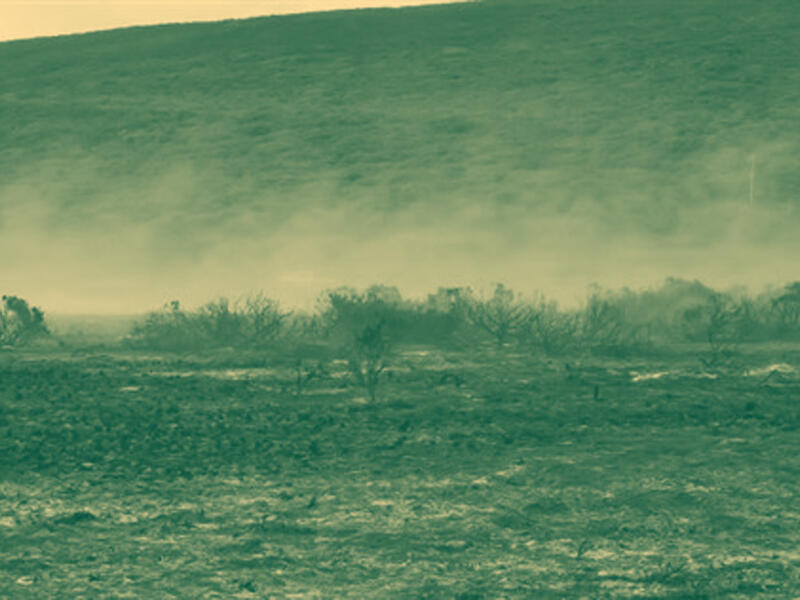 انخفاض إنتاج الحبوب الشتوية في لبنان بسبب الحرب والمناخ