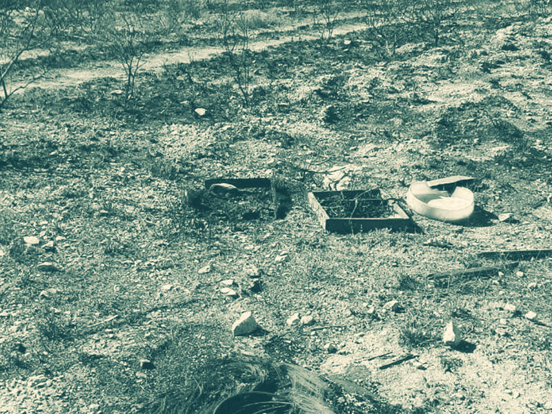 تربية النحل في جنوب لبنان