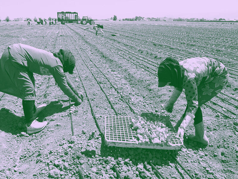 lebanon agriculture