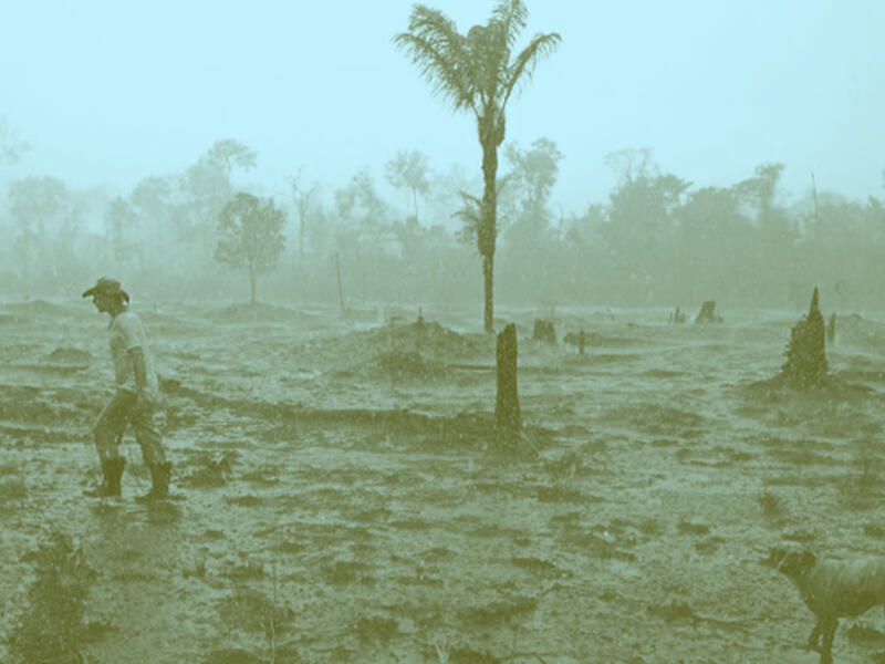 التقدّم بأي ثمن؟ الوعود الزائفة للذكاء الاصطناعي