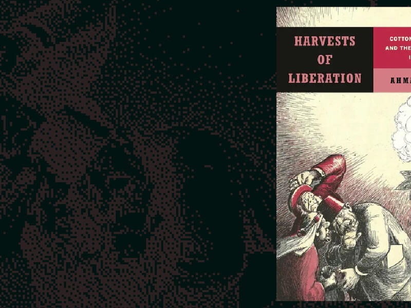 harvests of liberation