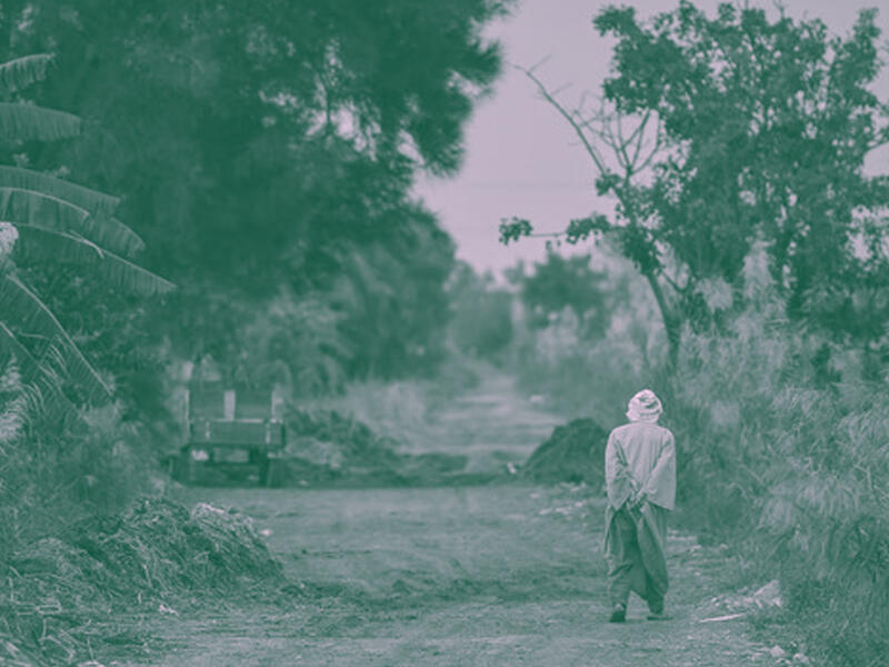 egypt agriculture