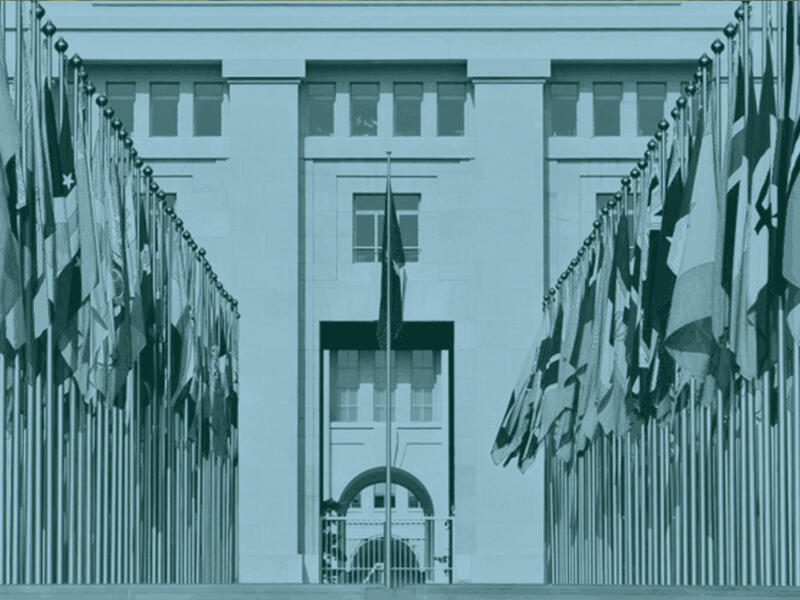 من سياسات التمويل إلى أزمة شرعية الأمم المتحدة على حافة الانهيار