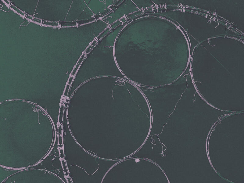 aquaculture