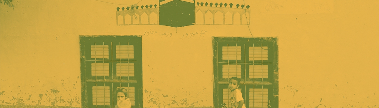 الصندوق في مصر