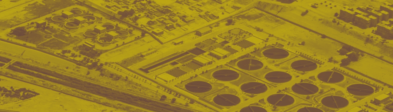 التهجير إلى سيناء