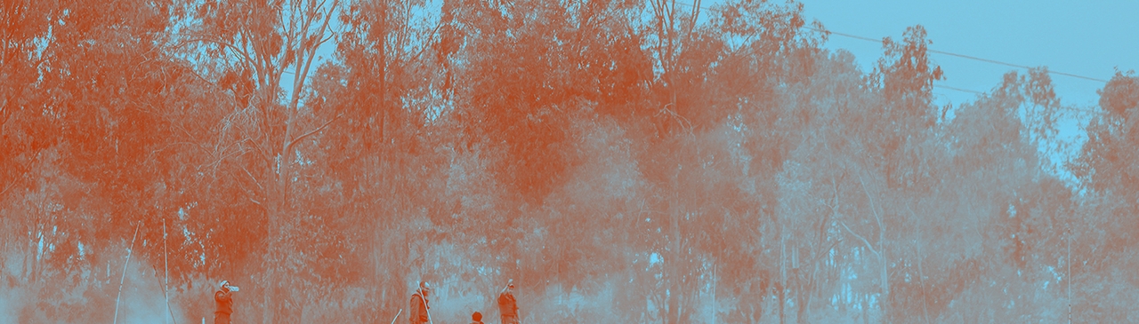 عسقلان