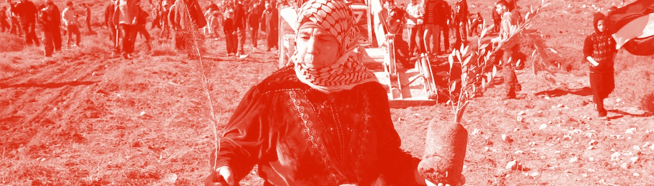 تفكيك الاستعمار في فلسطين