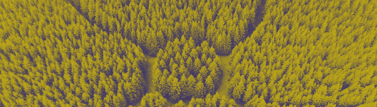 carbon offset
