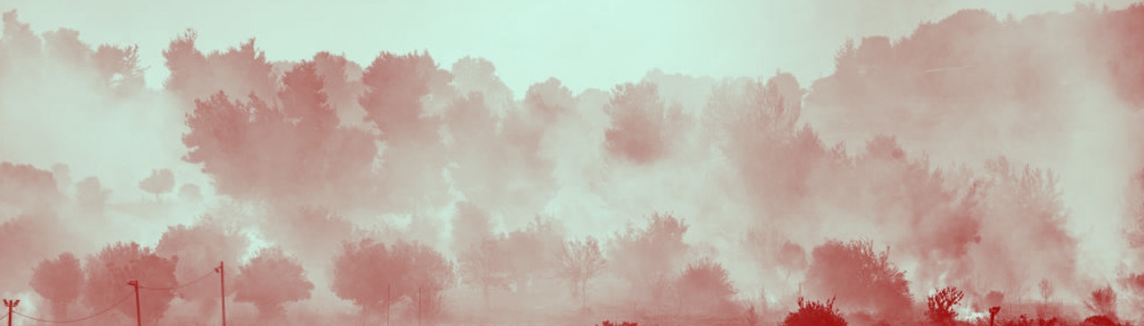 destroyed agriculture