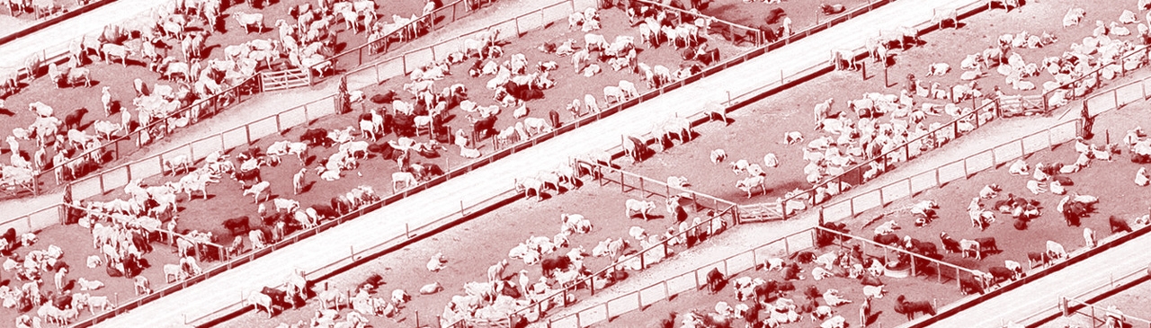 brazil farming
