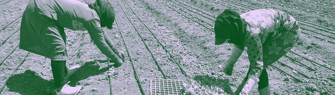 lebanon agriculture
