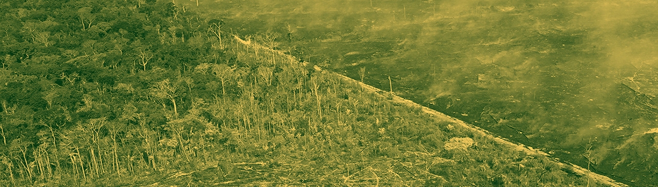 south destruction