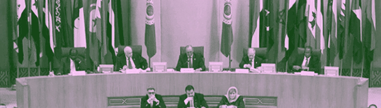 البلدان العربية تخسر 112 مليار دولار  سنوياً من القيمة الاجتماعية لإنفاقها