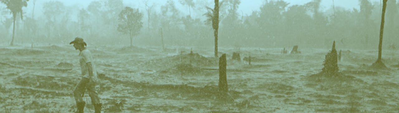 التقدّم بأي ثمن؟ الوعود الزائفة للذكاء الاصطناعي