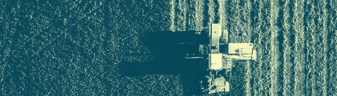 pakistan green capitalism