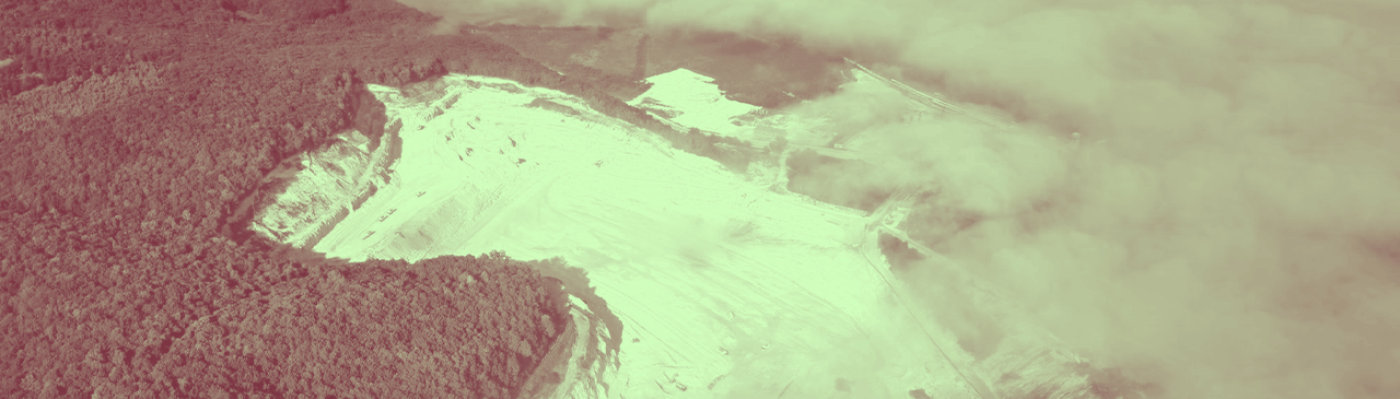 تراتبية العملات البيئية