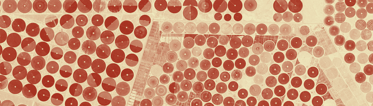 زراعة الصحراء