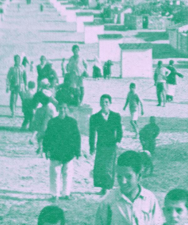 مشاريع الترانسفير
