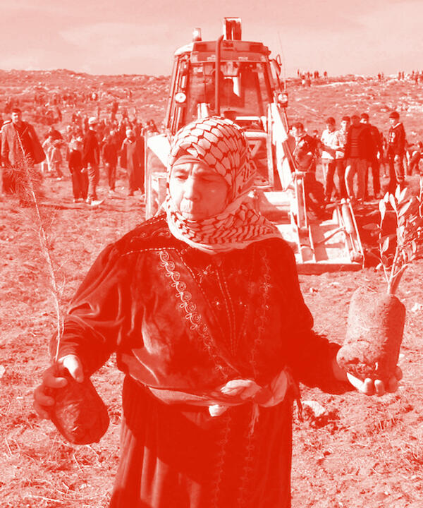 تفكيك الاستعمار في فلسطين