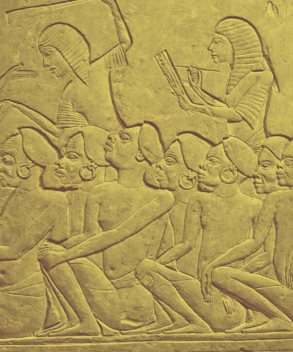 new labor law egypt