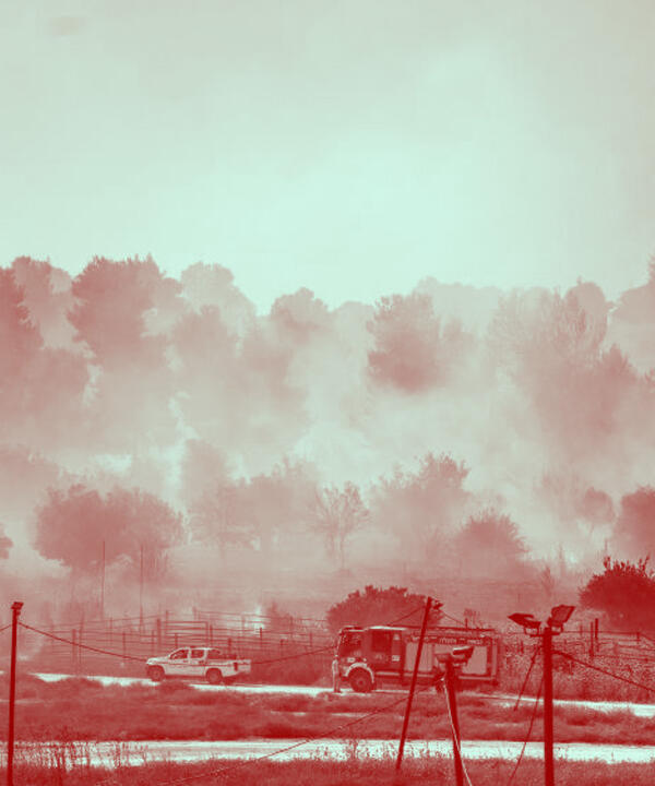 destroyed agriculture
