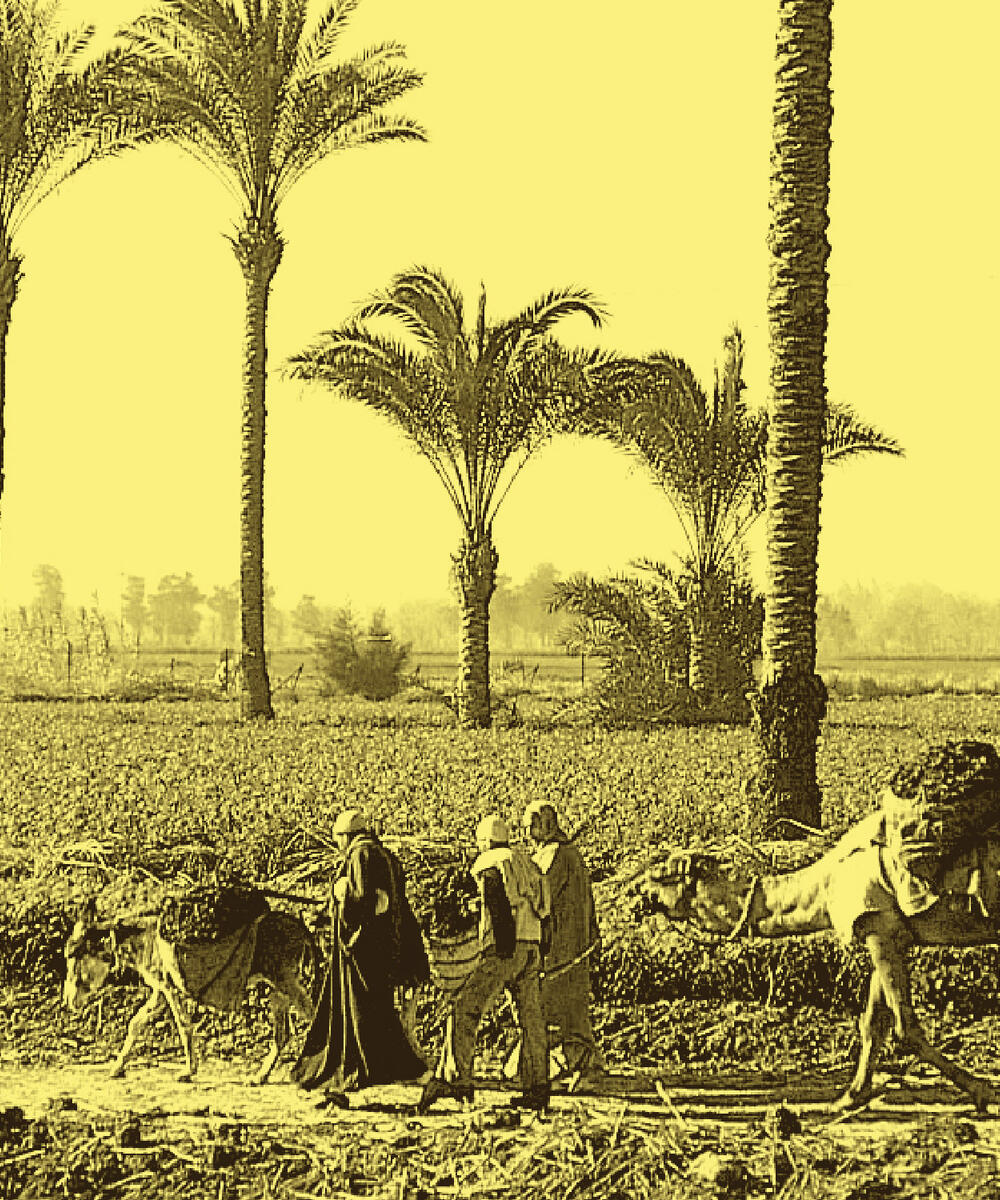 Food Sovereignty in Egypt