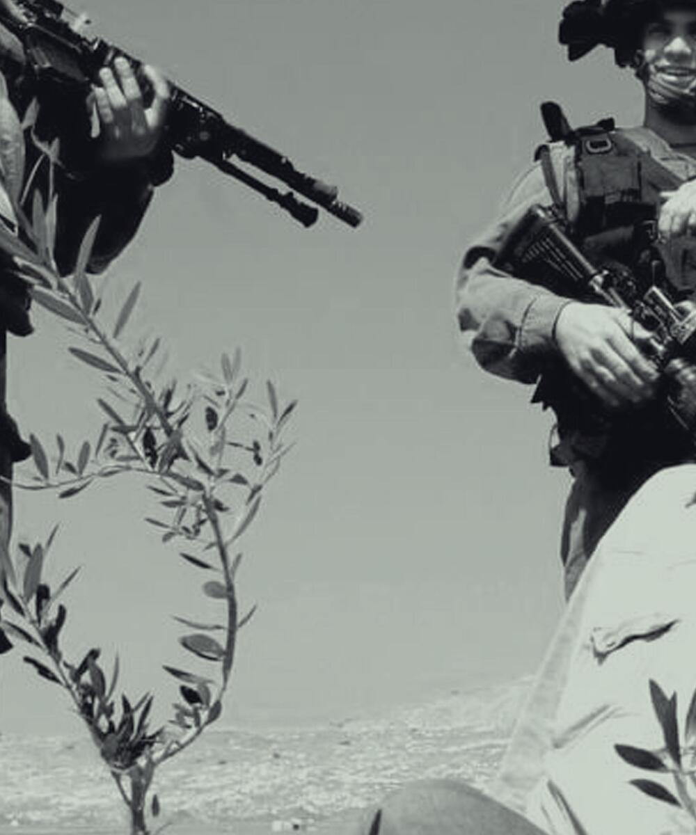 حق تقرير المصير في الزراعة: فرخة الفلسطينية نموذجاً