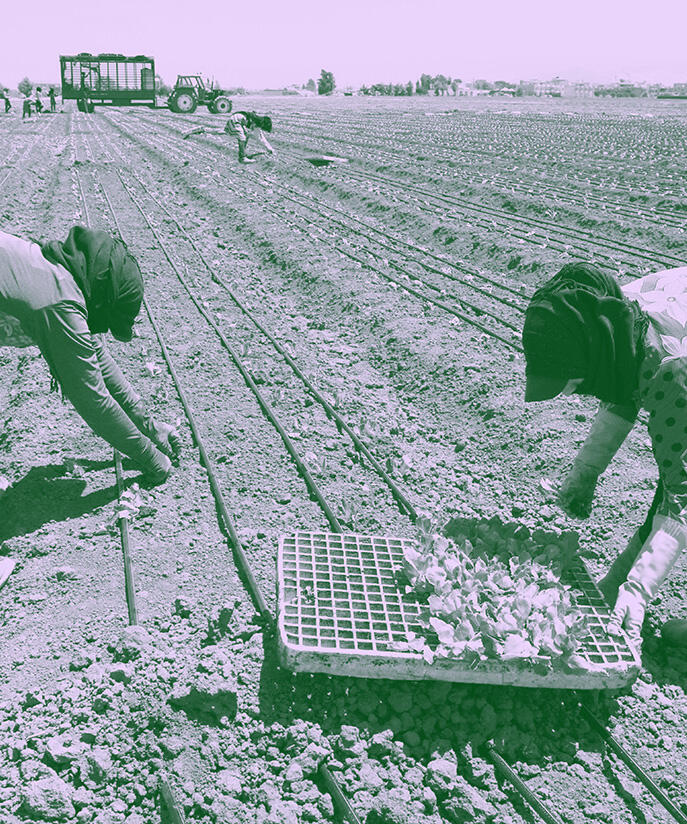 lebanon agriculture