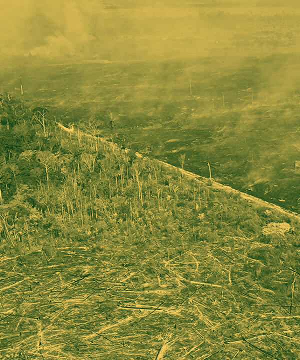south destruction