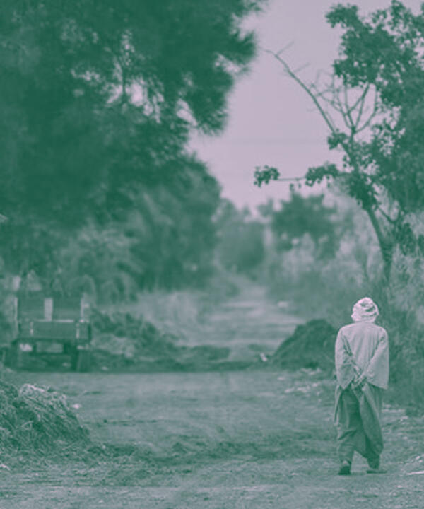 egypt agriculture