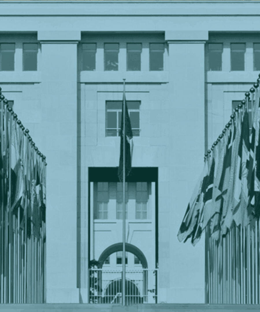 من سياسات التمويل إلى أزمة شرعية الأمم المتحدة على حافة الانهيار