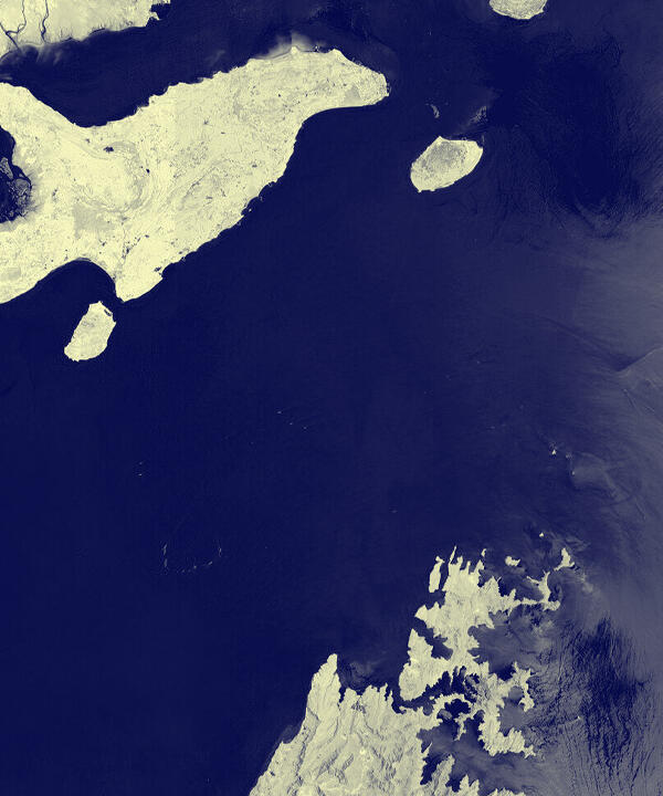 كيف تؤثّر الحرب على الاقتصاد العالمي؟