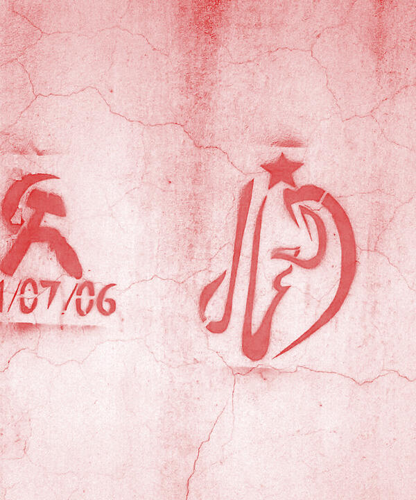 tunisia wall - leftist party